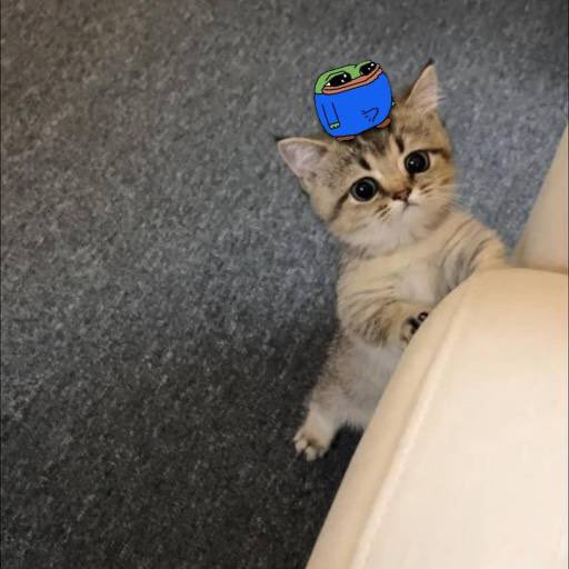 Smoly &amp; smol pepe