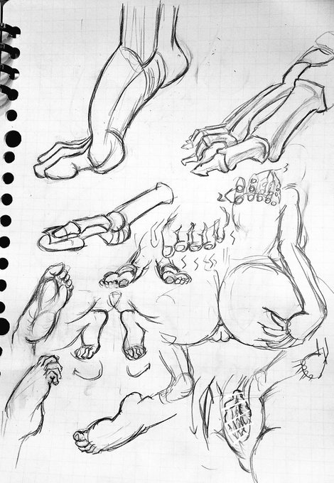 というわけで帰宅でごんす👣 