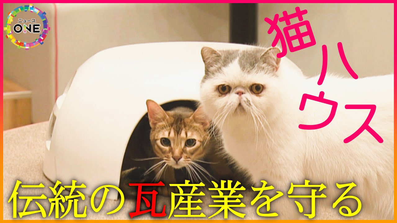 期間限定セール価格　瓦猫　しろ　三州野安　猫釜　猫ハウス 楽天市場】瓦の猫ハウス 瓦猫 白 桜 瓦 鬼瓦 職人手作り 無釉薬