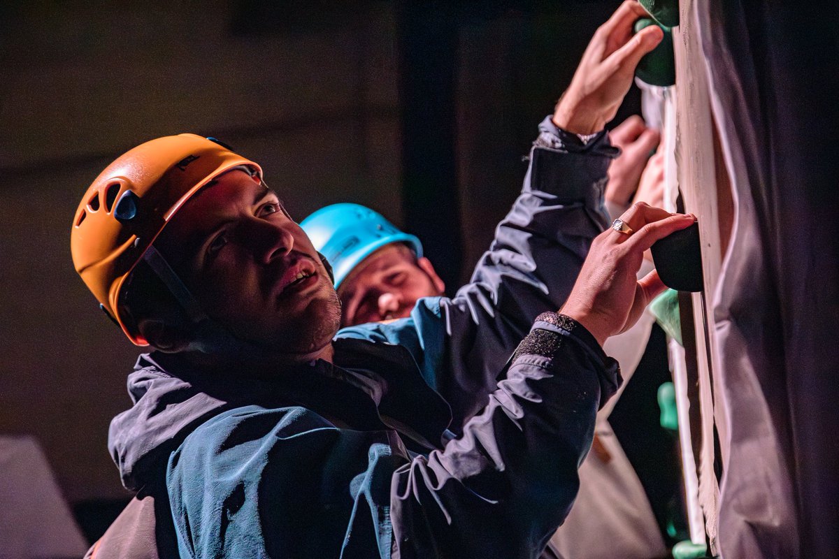 Wild Bears Photography tweet media