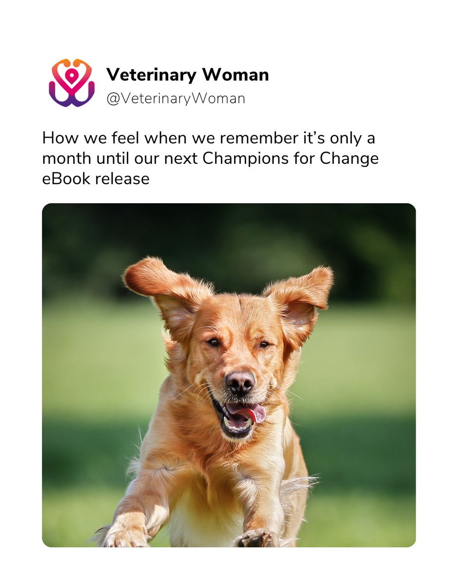Veterinary Woman tweet media