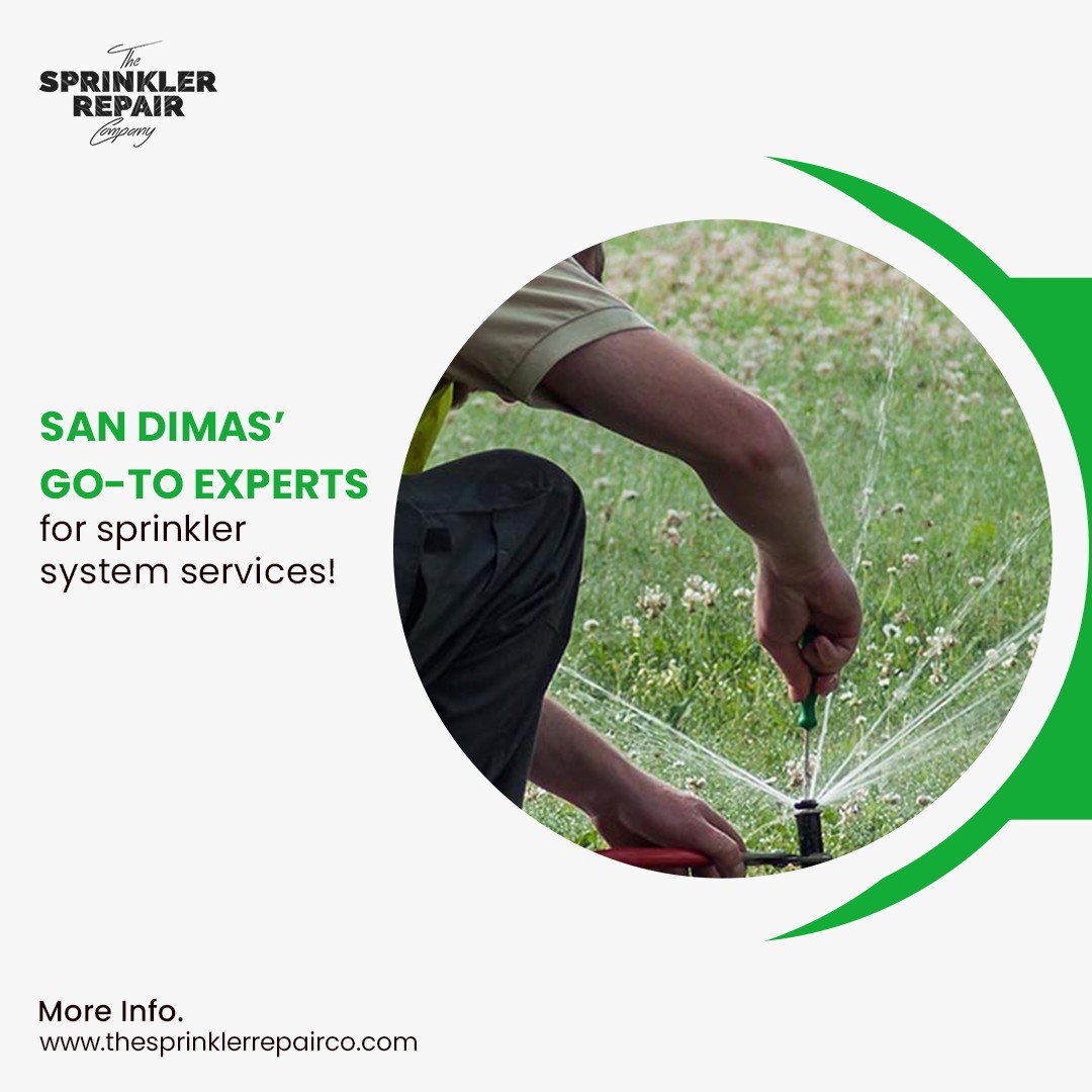 sprinklerser's tweet image. From repairs to upgrades, we’ve got your sprinkler system covered! The Sprinkler Repair Company proudly serves San Dimas. Reach out for reliable services today!

bit.ly/3OpY9Ub  

SanDimasSprinklers #WateringSolutions #LandscapingLove #IrrigationPros