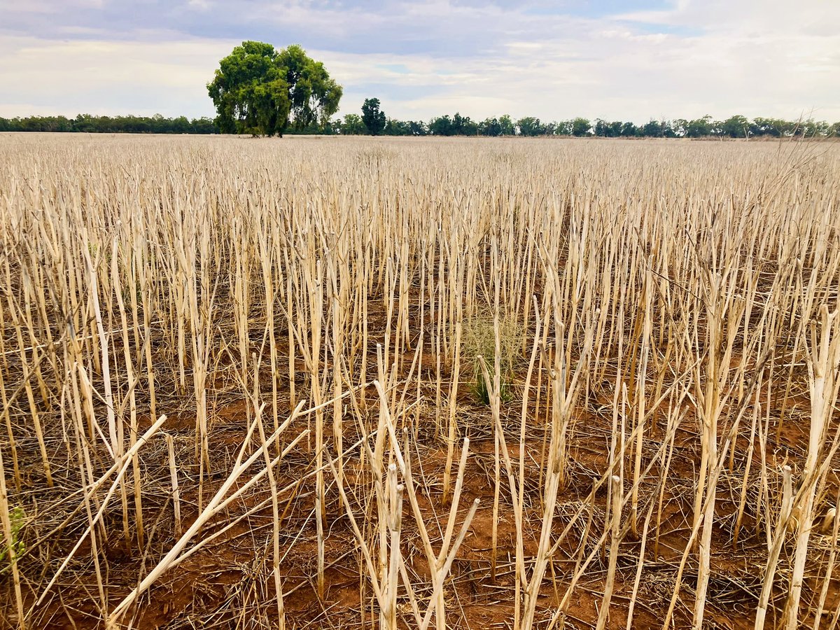 Karin Stark tweet media