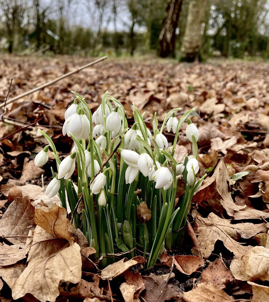 Nick Talbot tweet media