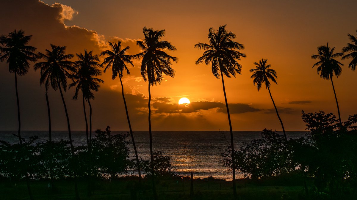 Les comparto el atardecer en Tres Palmas, Rincón 🇵🇷, desde la Carr. #413, con todo mi amor.
6 de febrero de 2025
¡Buenos días, familia!!! 🌞