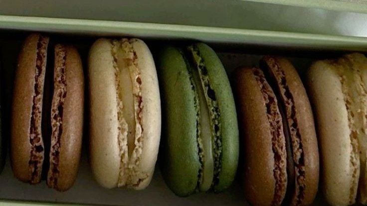 AcademiaDreams's tweet image. 🍃