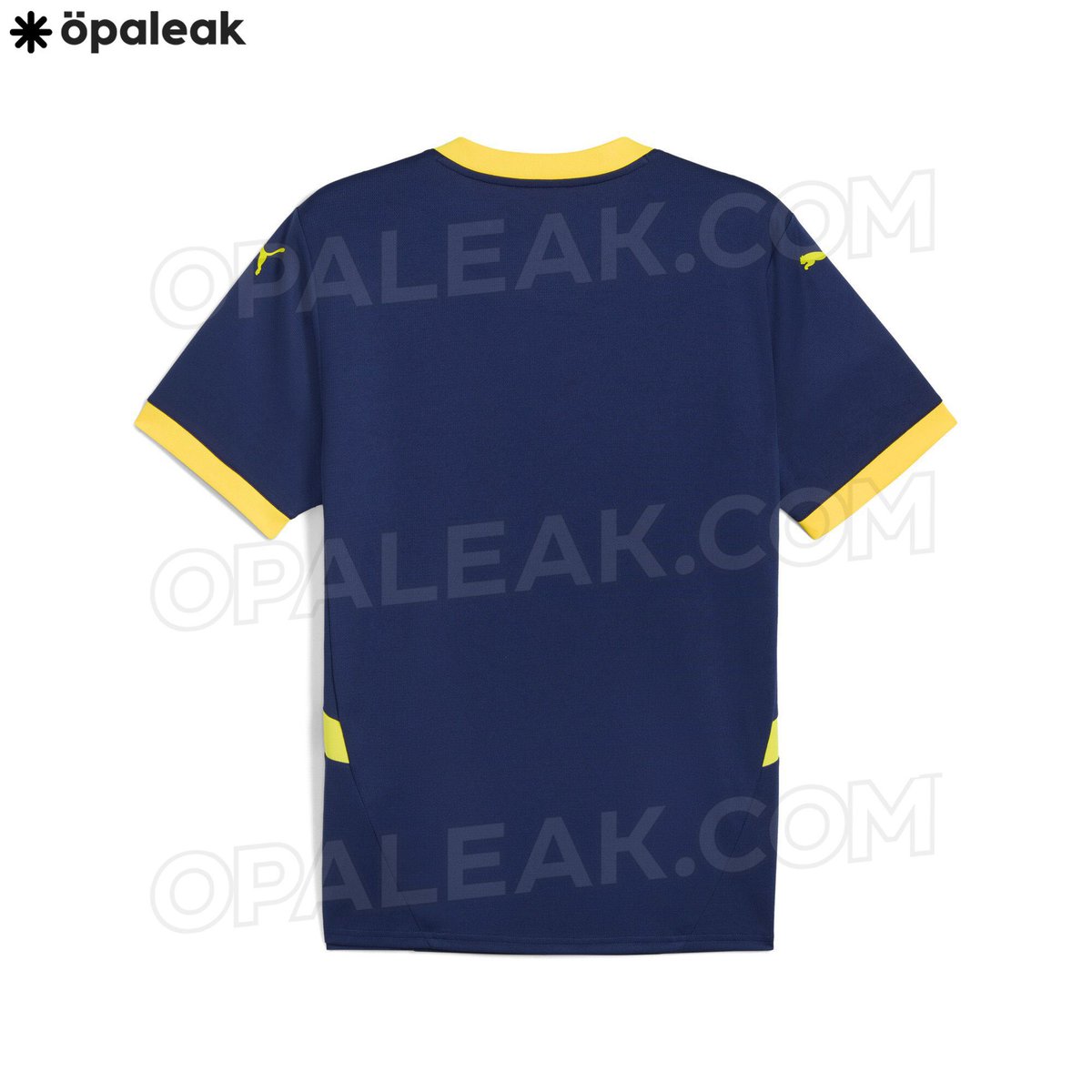 Fenerbahçe SK France 🇫🇷 tweet media