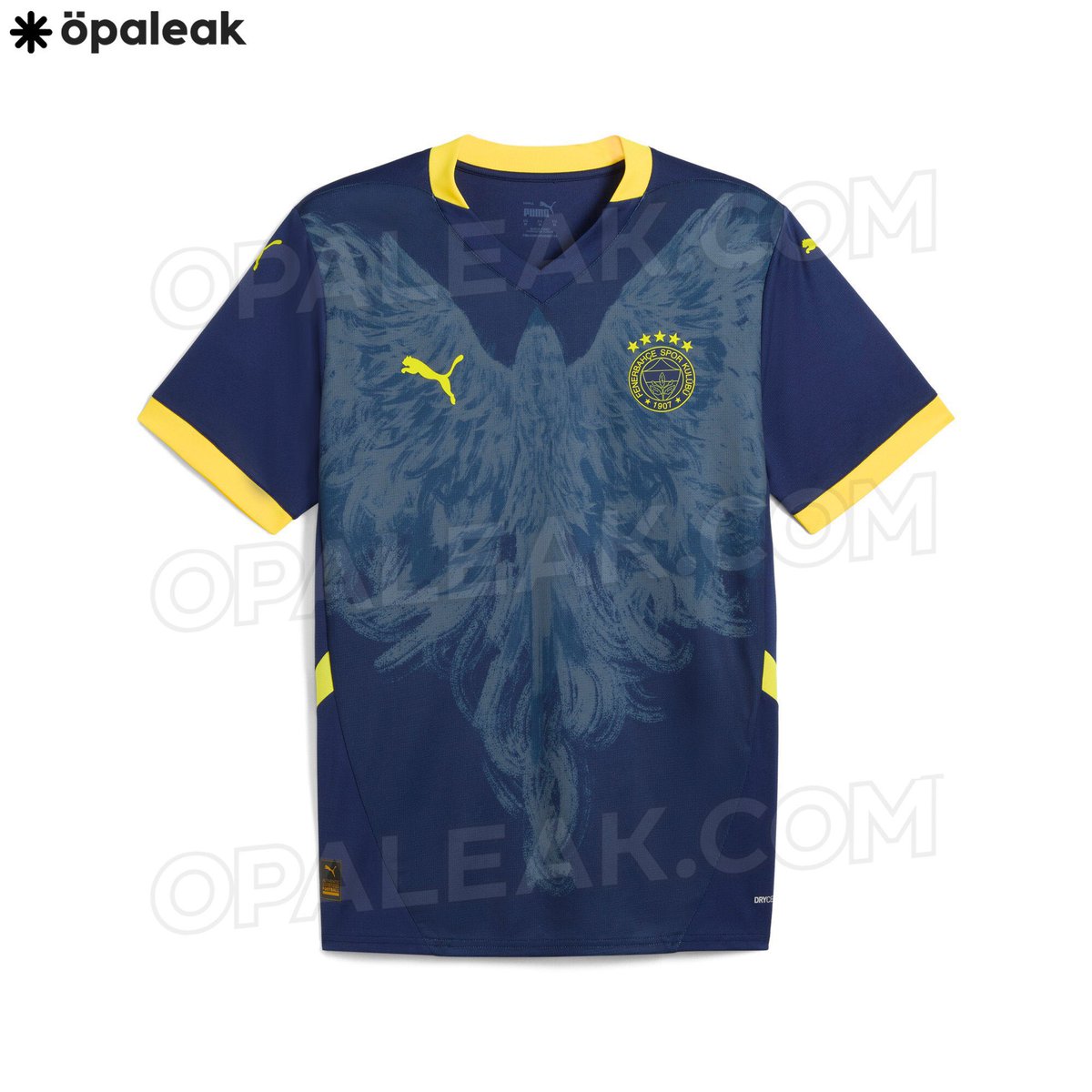 Fenerbahçe SK France 🇫🇷 tweet media
