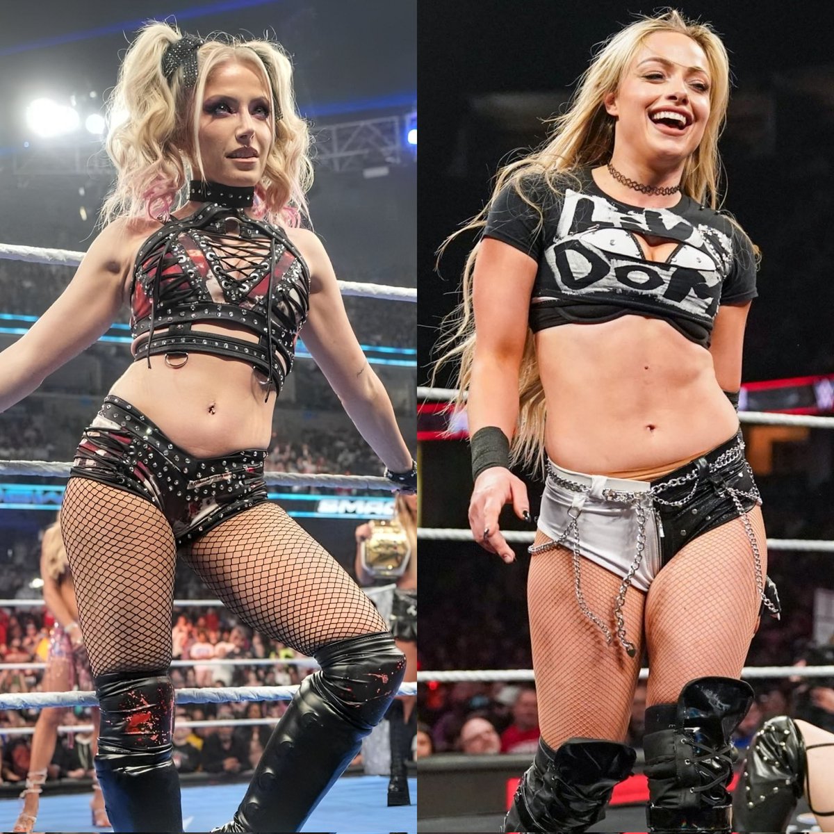 WWE News Updates tweet media