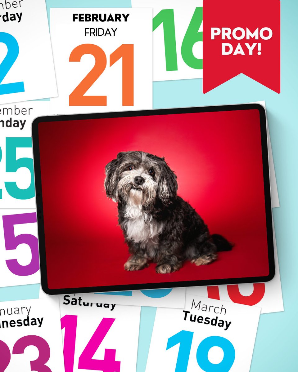 Forsyth Humane Society tweet media