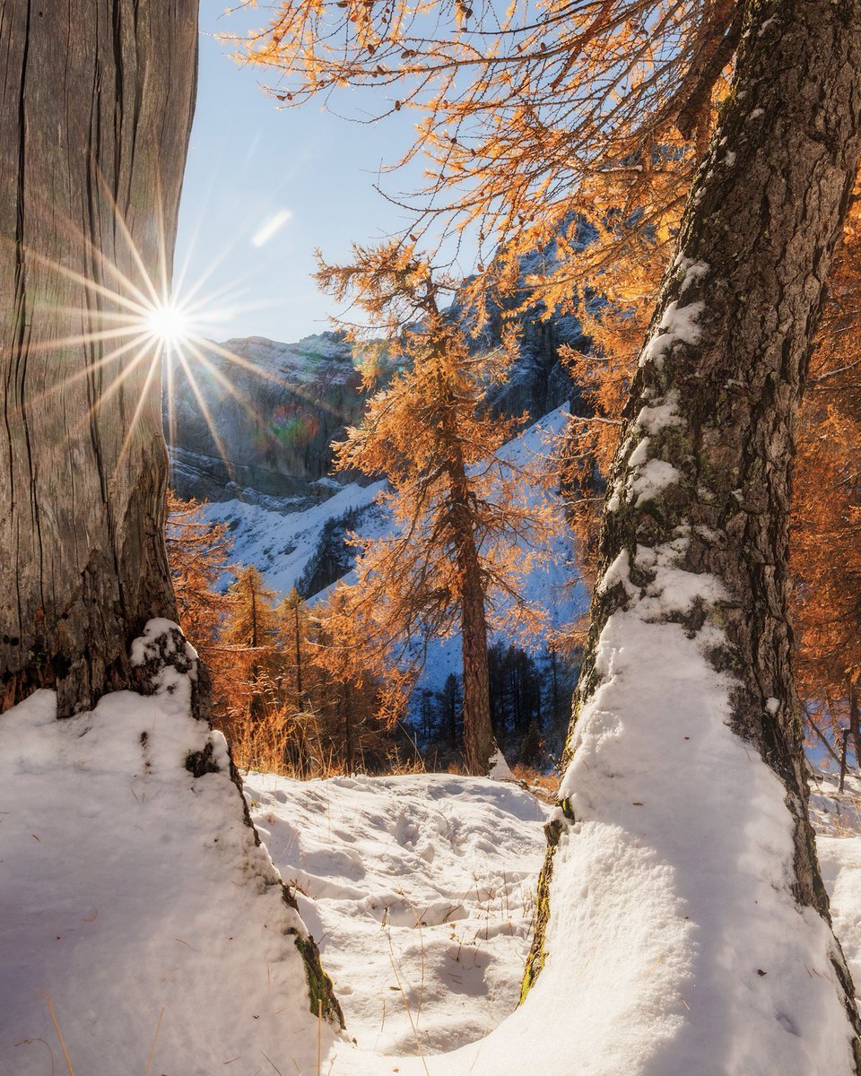 When Autumn Meets Winter’s Kiss. ❄️🌨️🍂🌲 #alps #julianalps #triglavnationalpark #jalovec #mountains #hike #landscape #snow #larchtrees #nature #slemenovaspica