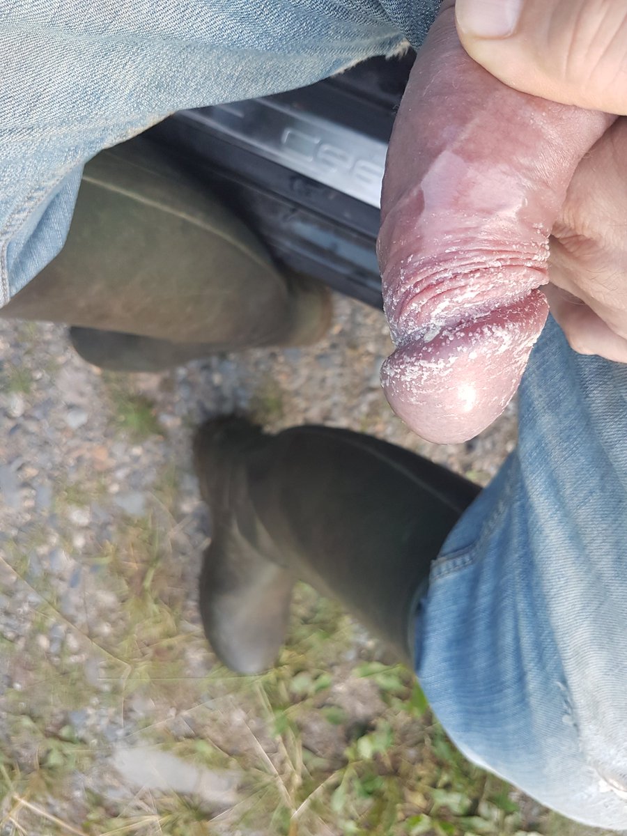 cheese65 tweet media