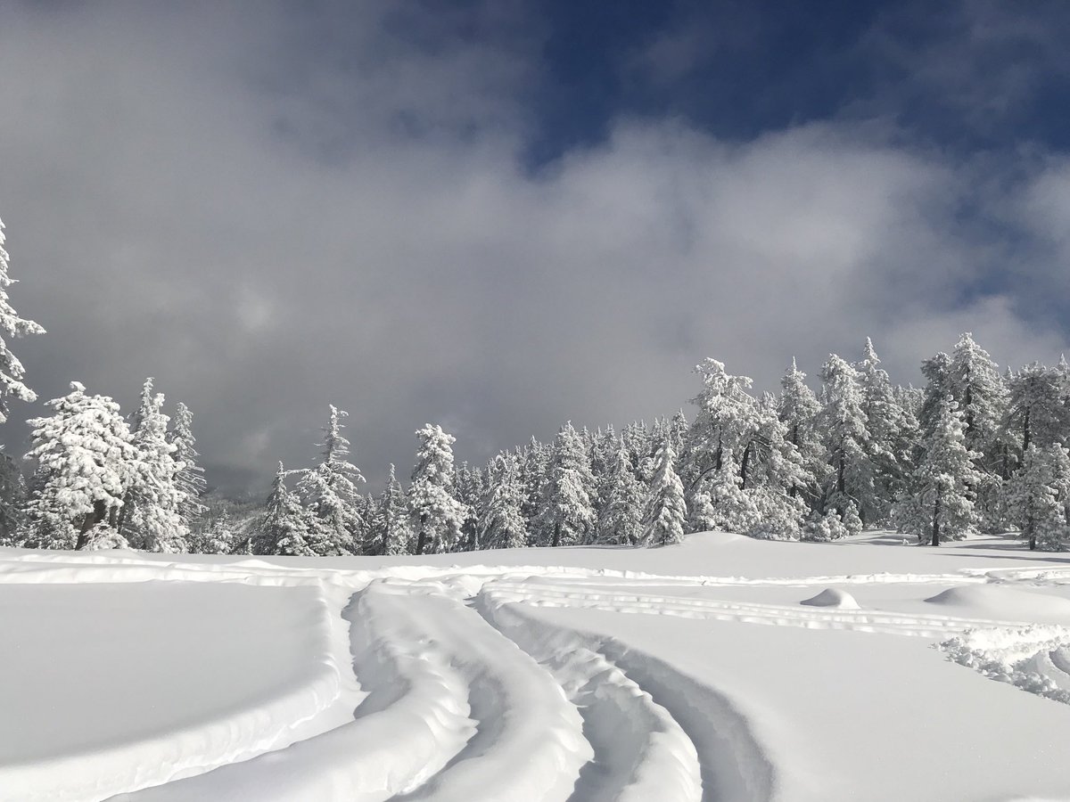 MikeB (@mikebienc) on Twitter photo These are at the top of King Mountain yesterday afternoon. I had the entire place to myself, not another soul on the mountain. I pre-ran the trail for a Saturday run. #ORwx <a href="/THEJeepMafia/">The Jeep Mafia</a> #Jeep #offroad #Oregon These are at the top of King Mountain yesterday afternoon. I had the entire place to myself, not another soul on the mountain. I pre-ran the trail for a Saturday run. #ORwx <a href="/THEJeepMafia/">The Jeep Mafia</a> #Jeep #offroad #Oregon