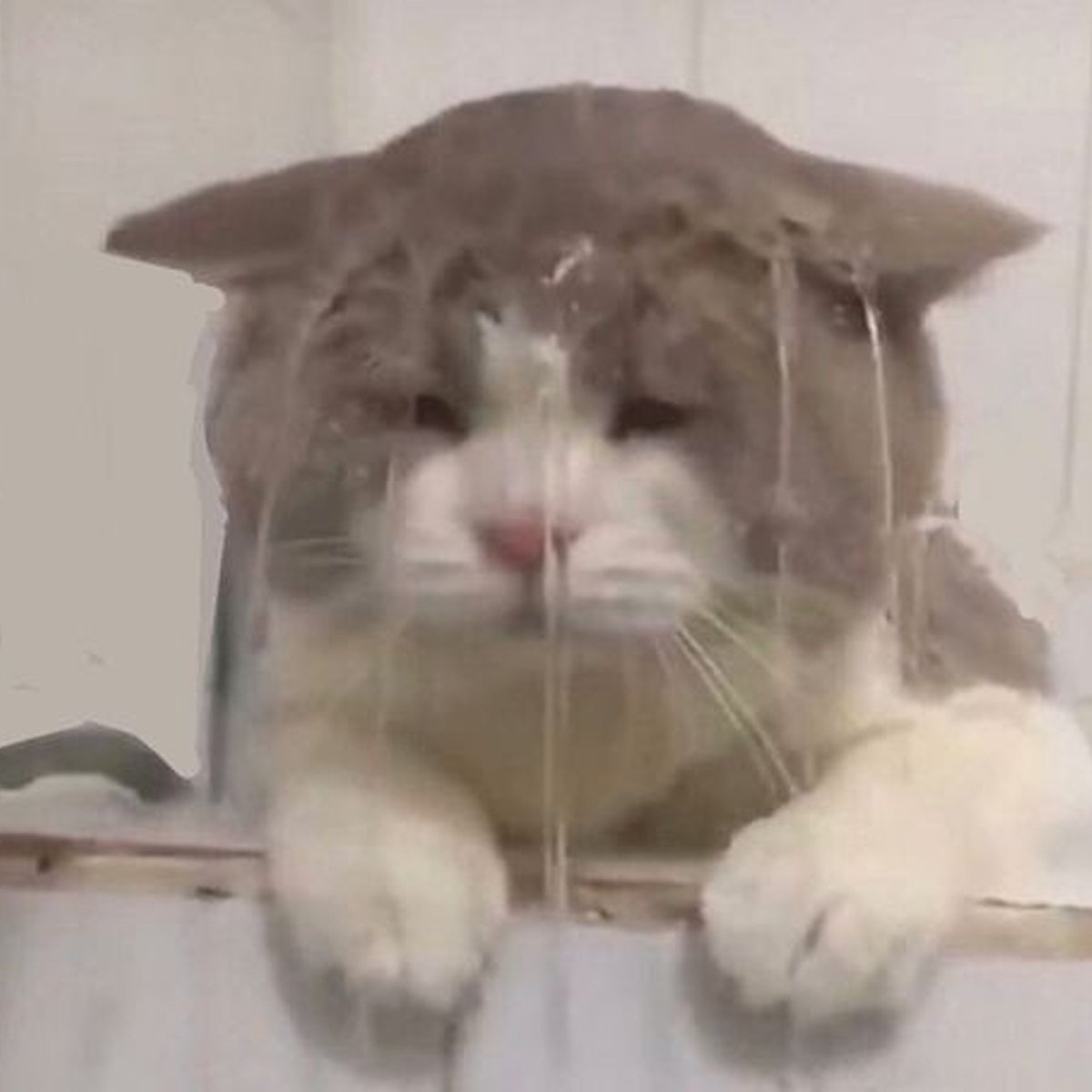 didn't read, went all-in, nuked - drained . . .

Fkna3z9nSYogh9kzL2DPR1gPRT78iuHorNuU8mA6pump