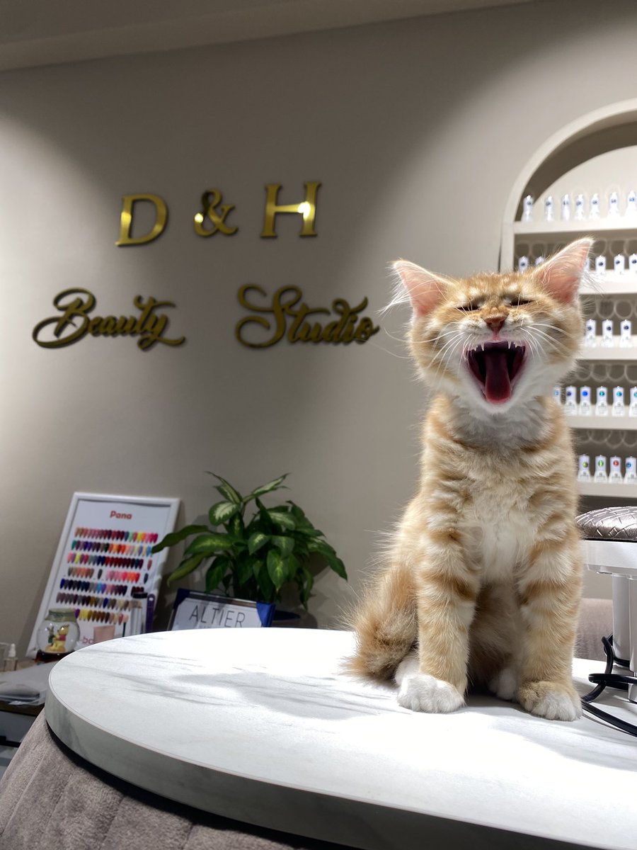 Tırnaklarını yapmaya gelmişsin ve seni böyle bir şey karşılıyor