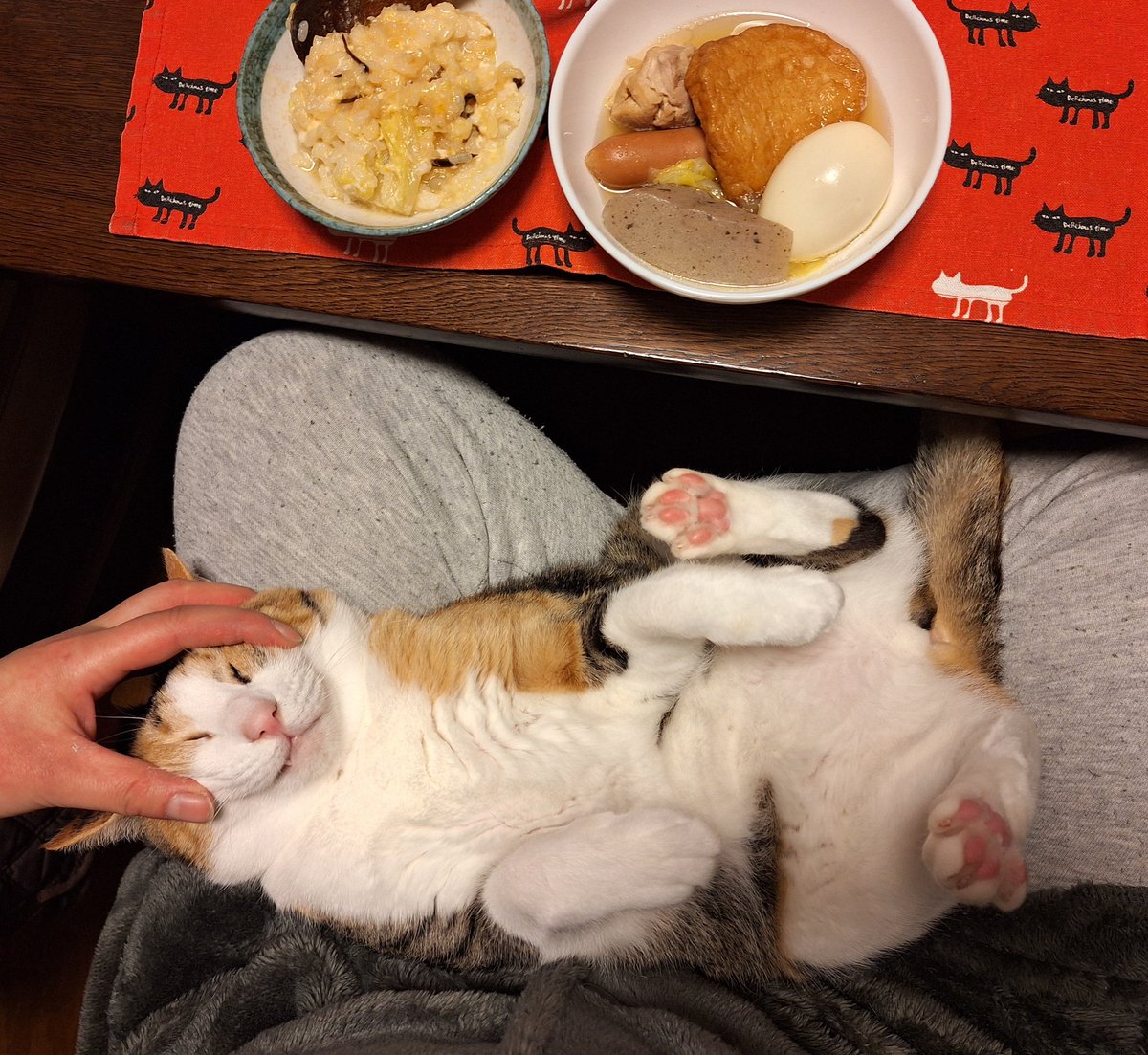 kawaii_nekoniko's tweet image. おでんとたまごおじや食べました