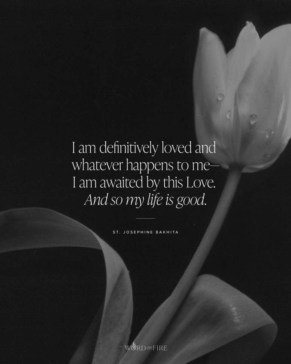 Bishop Robert Barron tweet media