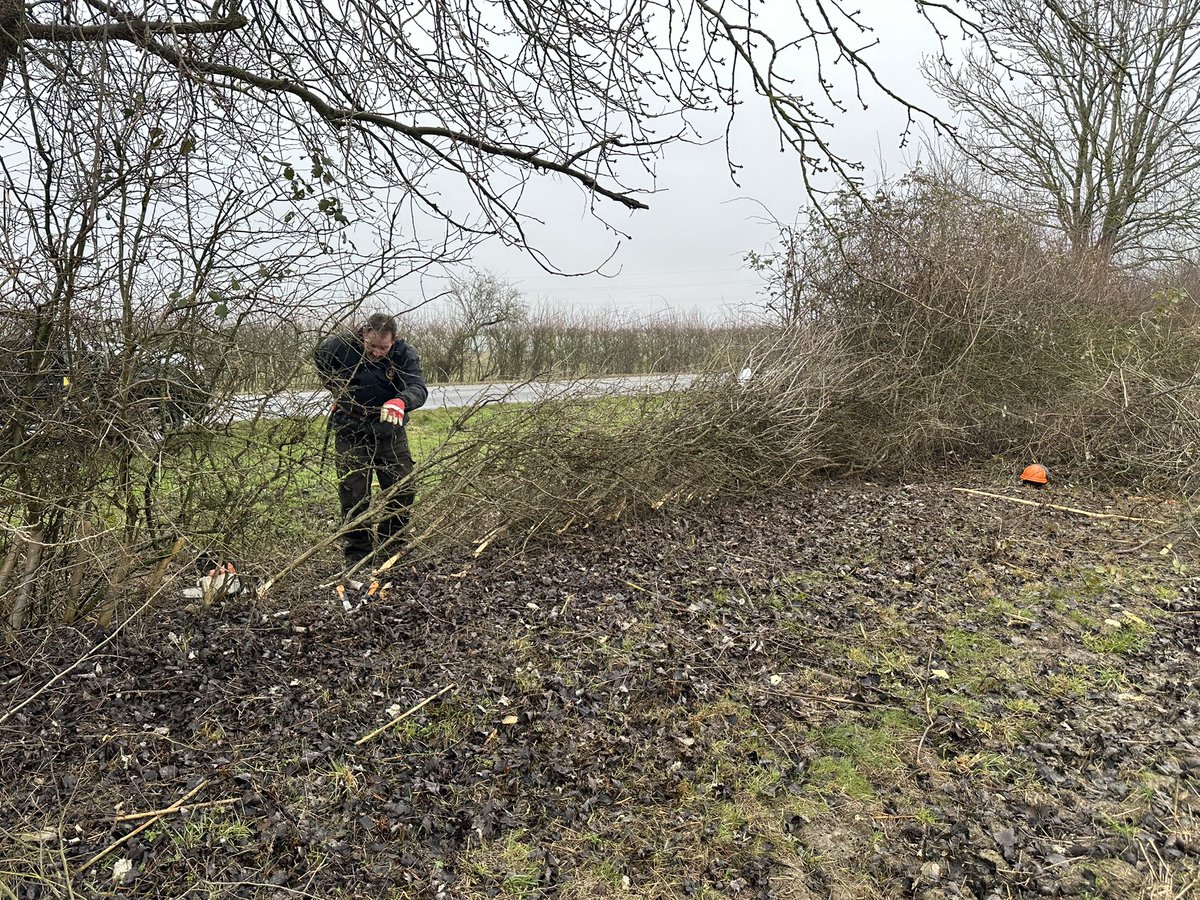 LinesMartin's tweet photo. @FavColour_Green It was great to see you today. It was great to see novices having their first go at a hedge cutting competition to those who do it professionally all supporting each other sharing knowledge and their expertise to keep the hedge laying tradition thriving for the future. https://t.co/4Cp481LbPT