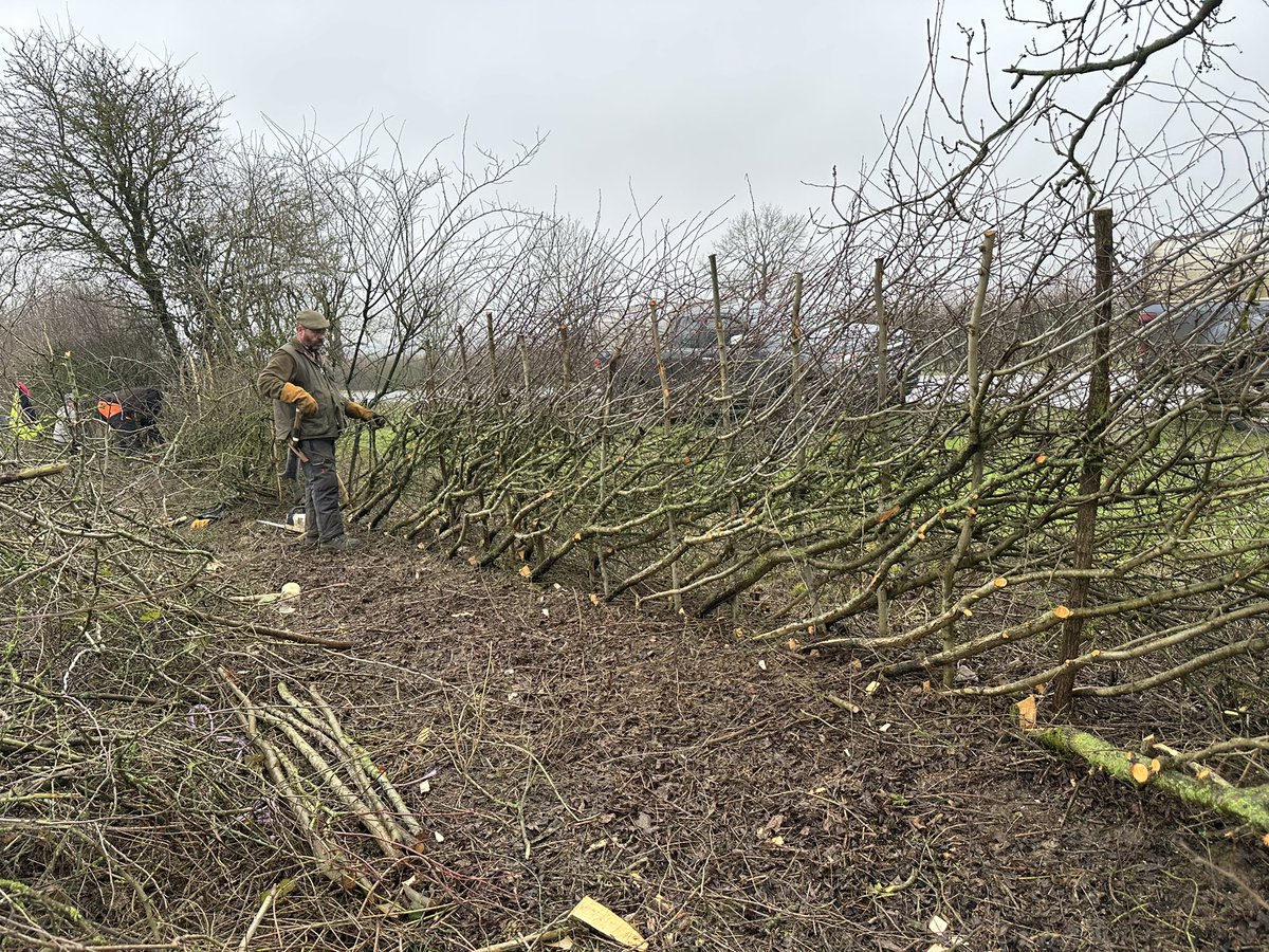 LinesMartin's tweet photo. @FavColour_Green It was great to see you today. It was great to see novices having their first go at a hedge cutting competition to those who do it professionally all supporting each other sharing knowledge and their expertise to keep the hedge laying tradition thriving for the future. https://t.co/4Cp481LbPT