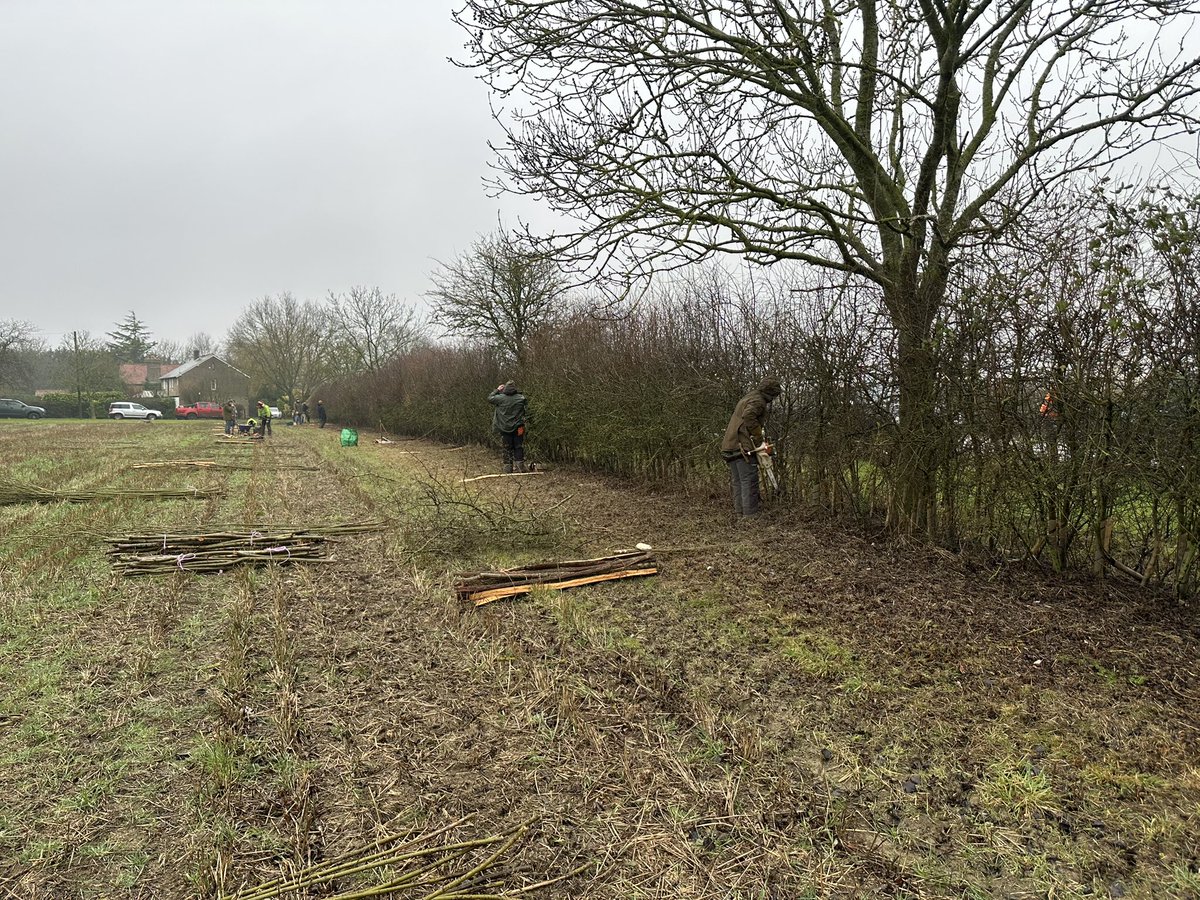 LinesMartin's tweet photo. @FavColour_Green It was great to see you today. It was great to see novices having their first go at a hedge cutting competition to those who do it professionally all supporting each other sharing knowledge and their expertise to keep the hedge laying tradition thriving for the future. https://t.co/4Cp481LbPT