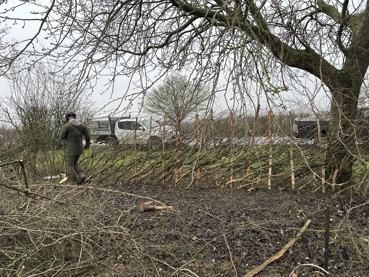 LinesMartin's tweet photo. @FavColour_Green It was great to see you today. It was great to see novices having their first go at a hedge cutting competition to those who do it professionally all supporting each other sharing knowledge and their expertise to keep the hedge laying tradition thriving for the future. https://t.co/4Cp481LbPT