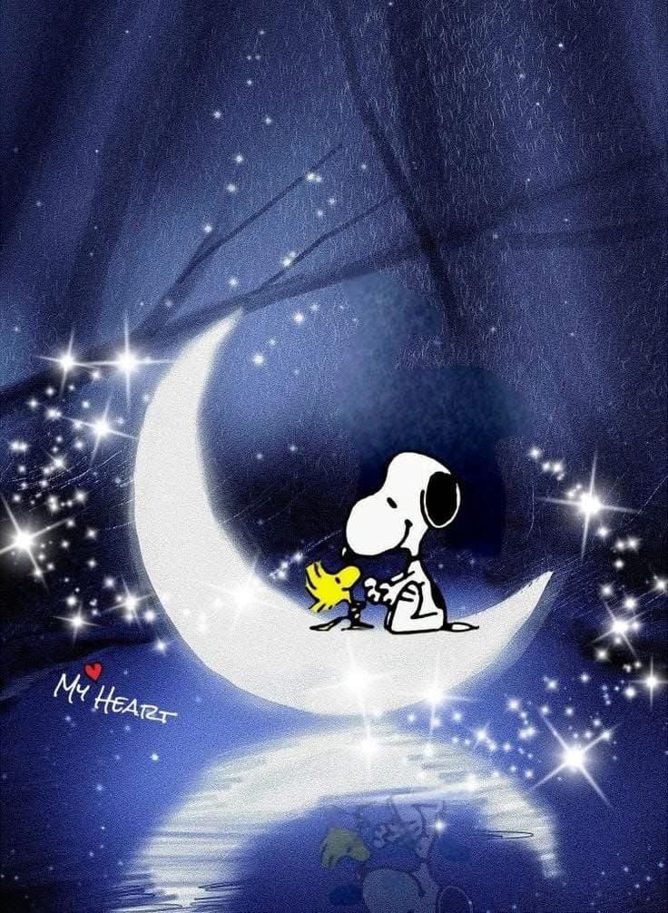 MacGaef's tweet image. Liebe Gemeinde👆!

Langsam neigt sich der Samstag dem Ende entgegen und es wird Zeit es sich ein wenig gemütlich zu machen 🛋️🍷🍕. 

Ich wünsche euch allen einen wunderschönen Abend, vielleicht im Kreise eurer Lieben und später eine gute, erholsame Nacht…💫🌟✨⭐️💖🙌🫶!