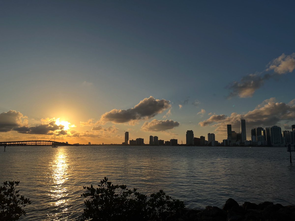 Andrew Otazo tweet media