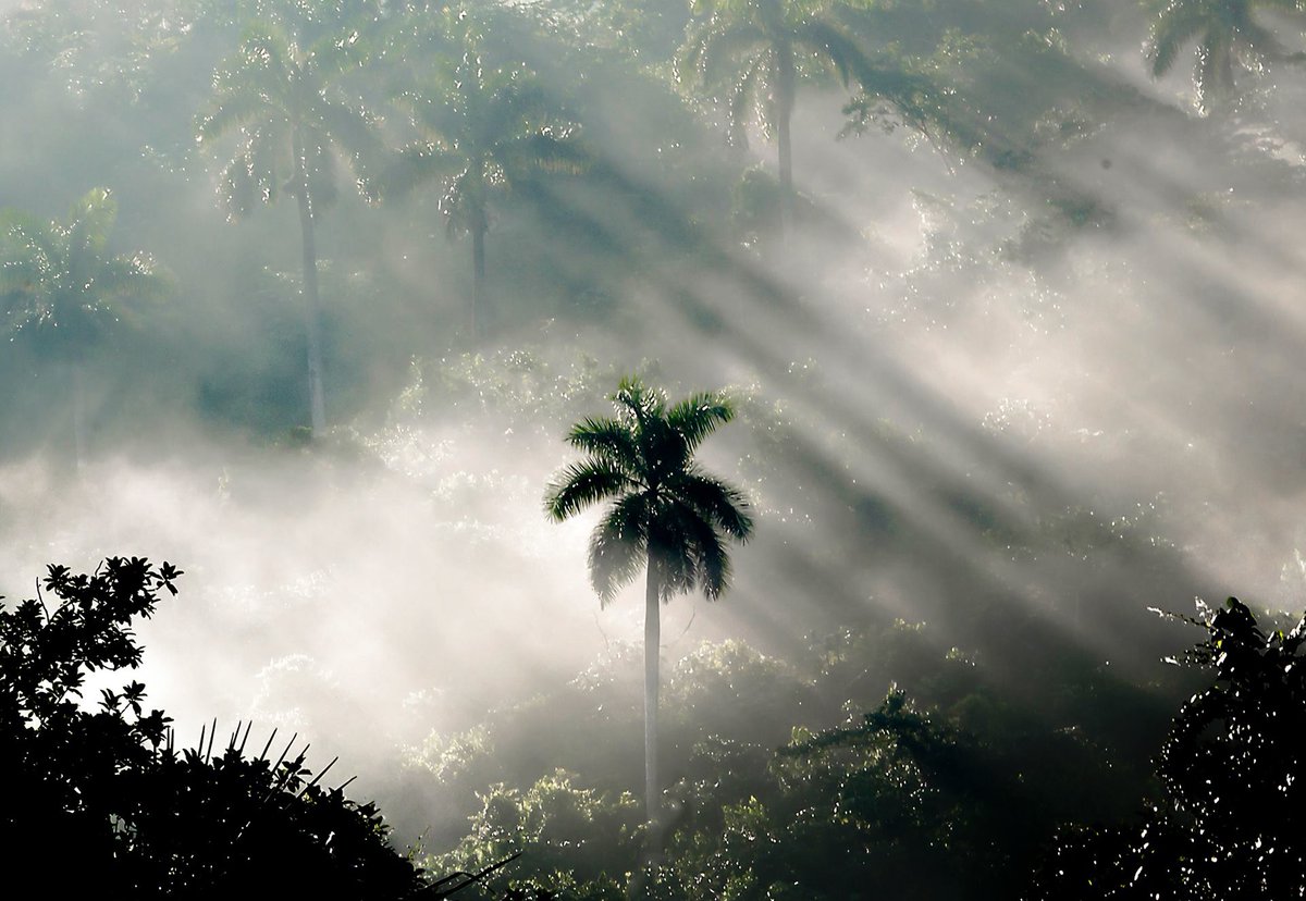 Que se acabe la noche.
Que finalmente llegue ese día.
Que se vayan, que se vayan🇨🇺.