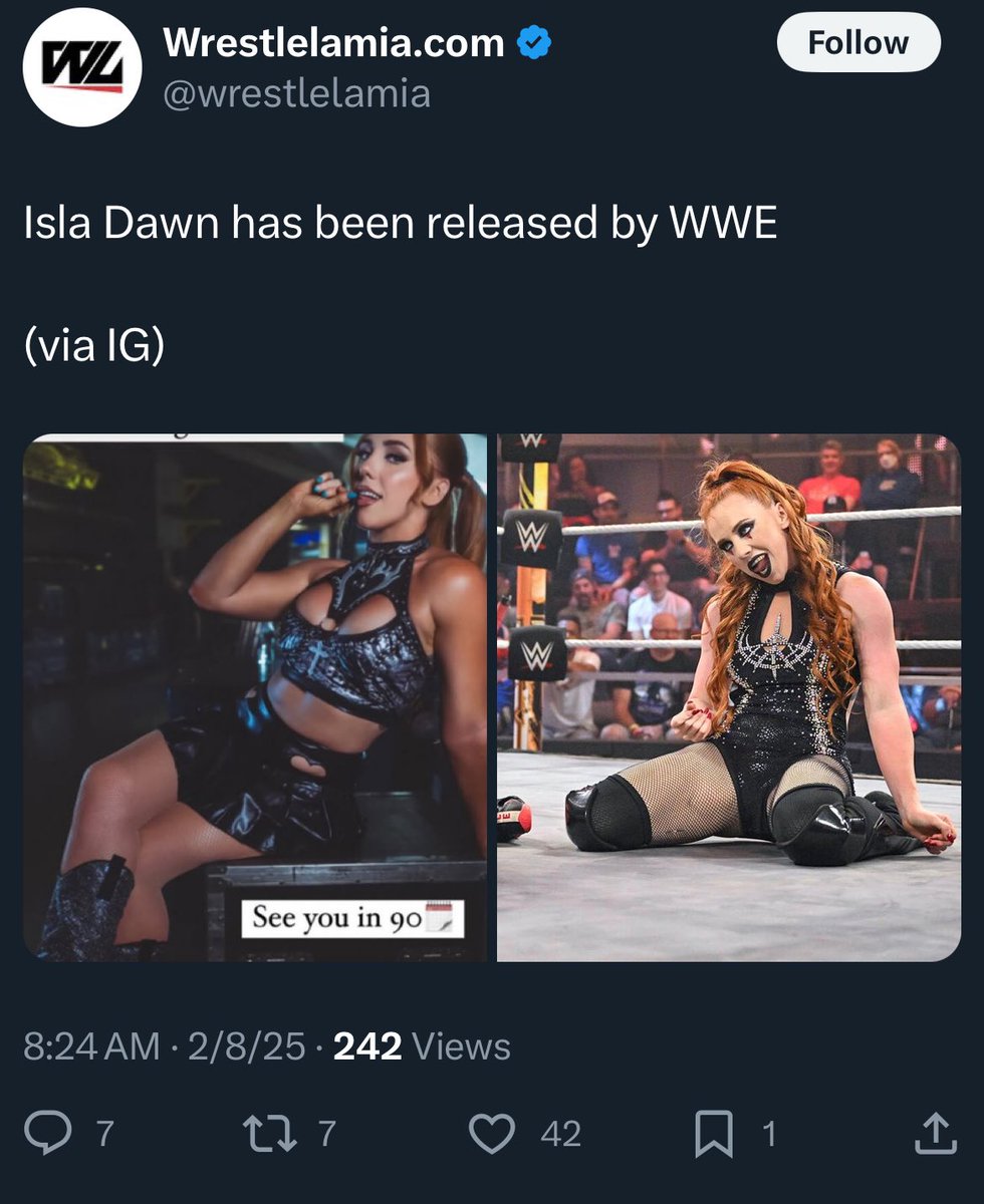 margaretencinos's tweet image. am i the friend that’s too woke or is triple h firing queer talent and people who have been vocally critical of logan paul and transphobia