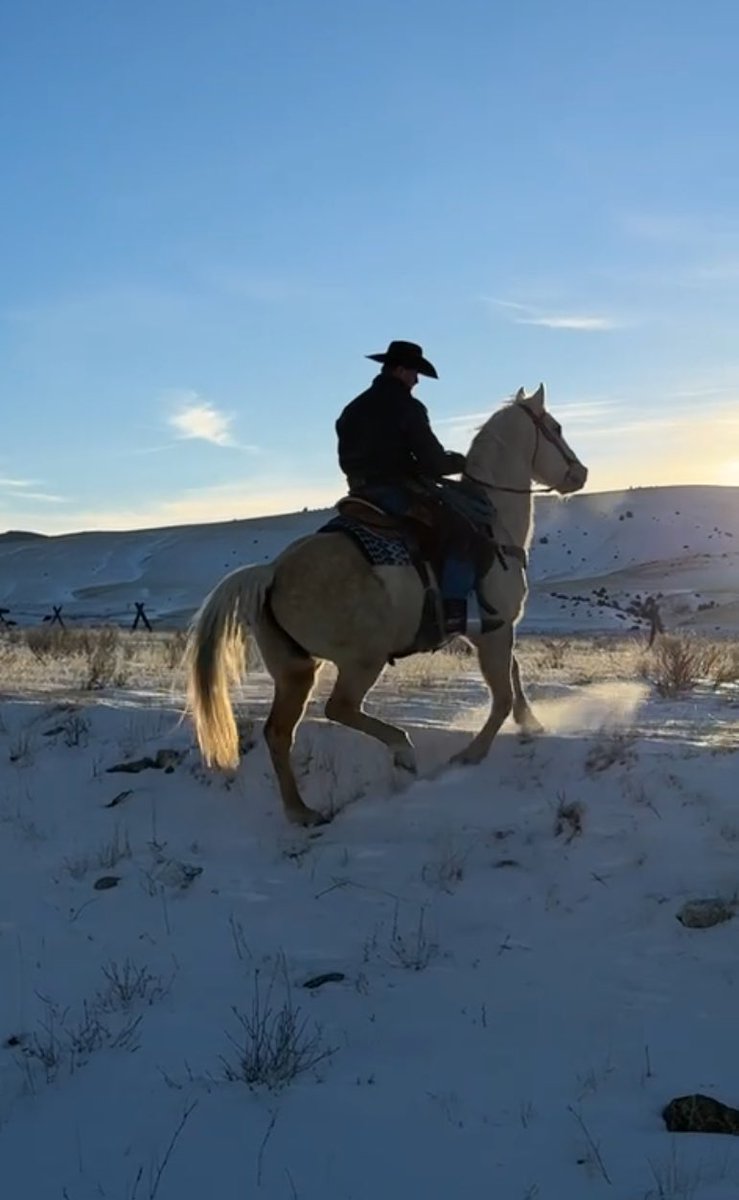 Jeremy_Rich12's tweet photo. Even on a cold winter day, I love tacking up and hopping up in the saddle on this big guy named Pal! ๐ค ๐๏ธ
#pal #cowboys #tackup #saddles #ranching #horses #montana https://t.co/nrEQg7YEvi