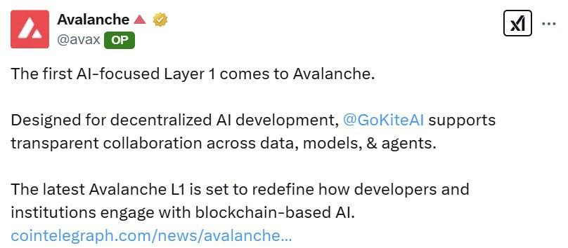 ayanthamaxi.bnb 🇱🇰 tweet media