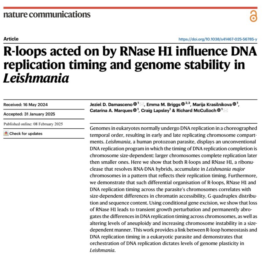 Jeziel D. Damasceno tweet media