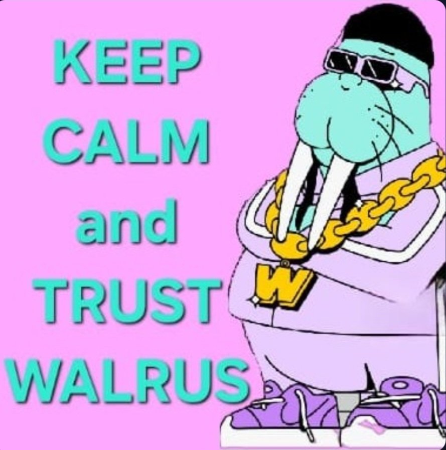 TE_Primus's tweet photo. @EmanAbio @WalrusProtocol Trust the @WalrusProtocol https://t.co/e6zmHFfEff