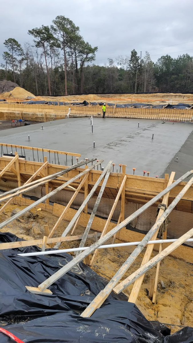 Connie Hudson for Mobile tweet media