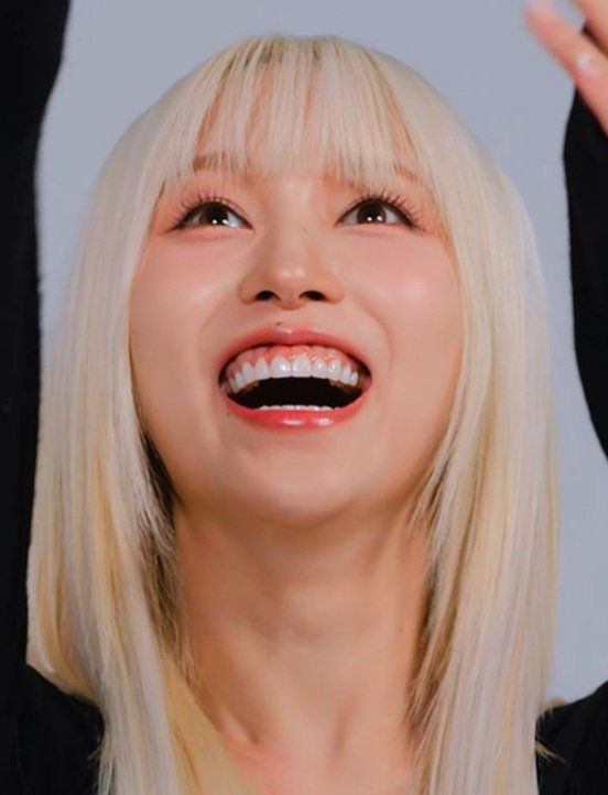 _oncinha_'s tweet photo. Mina:                                     Momo: https://t.co/rLEeCfnPtH
