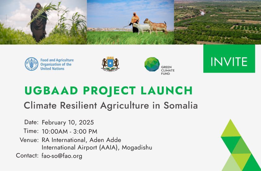 FAO in Somalia (@faosomalia) on Twitter photo 🚀 Launch Alert! 
🗓️ 10/02/2025
⏰ 10am-3pm
With $79.7M from <a href="/theGCF/">Green Climate Fund</a>, we're launching #Ugbaad, together with the Govt. of Somalia, for transformed landscapes, stronger livelihoods, and building climate resilience for over 2M Somalis! 
Register: buff.ly/42NHEJF 🚀 Launch Alert! 
🗓️ 10/02/2025
⏰ 10am-3pm
With $79.7M from <a href="/theGCF/">Green Climate Fund</a>, we're launching #Ugbaad, together with the Govt. of Somalia, for transformed landscapes, stronger livelihoods, and building climate resilience for over 2M Somalis! 
Register: buff.ly/42NHEJF