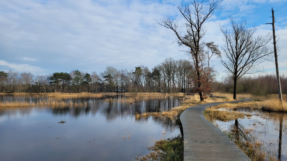TaxFrancien's tweet photo. wat een zonnige middag @Weerplaza  @WNLVandaag @_weernl @HetWeerVoorJou @het_weerNL @weermanrobert @BuienRadarNL @omroepbrabant https://t.co/m9WrZUyfym