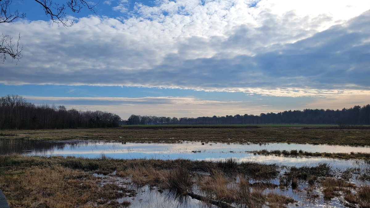 TaxFrancien's tweet photo. wat een zonnige middag @Weerplaza  @WNLVandaag @_weernl @HetWeerVoorJou @het_weerNL @weermanrobert @BuienRadarNL @omroepbrabant https://t.co/m9WrZUyfym