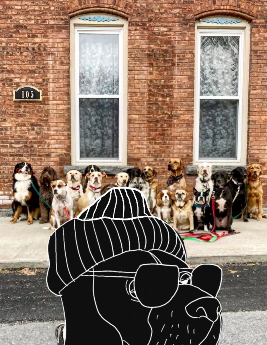 AdidogFun's tweet photo. Woof! The pack is ready to hunt! 🐺 adidog is about to moon! 🚀 #ADIDOG #DOGE #PAWS  #KanyeWest #kanye https://t.co/n0RTvBUqO5