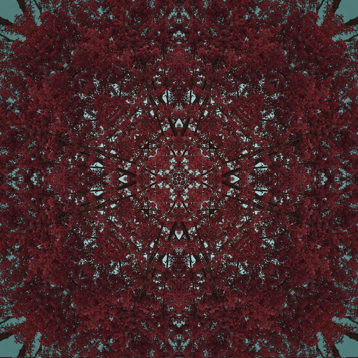 QT your 1/1s On objkt 

▫️3 $XTZ 

🔗objkt.com/tokens/KT18jpK…