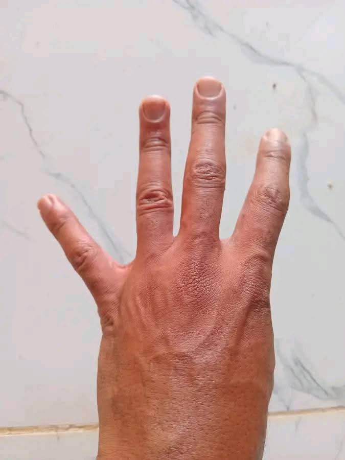 Lacoste T SA (@lacostetsa) on Twitter photo 