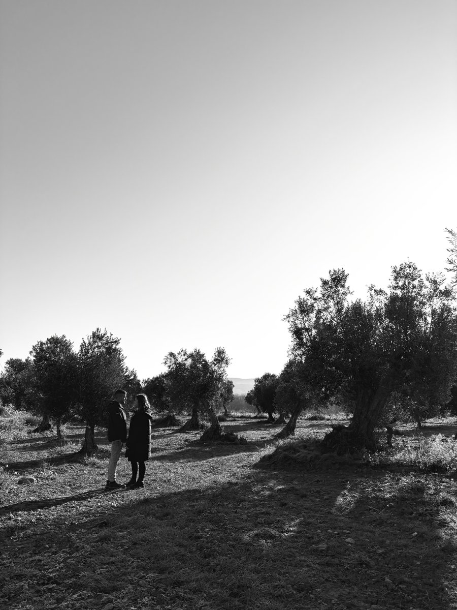 adoptaunolivo's tweet photo. A la sombra del olivo,
digo y nunca me desdigo.
A la sombra del olivo:
¡quiero una vida contigo!✨

Regala un apadrinamiento por San Valentín❤️‍🔥

#apadrinaunolivo #sanvalentin #regalodesanvalentin #oliete #teruel #ioliveyou #loveisintheair https://t.co/qlc53Ey32E
