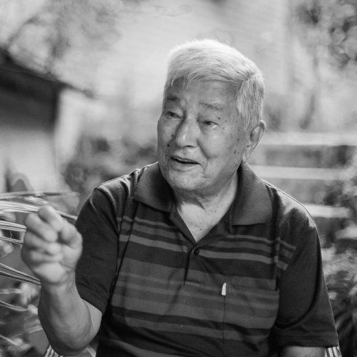 स्थानीय स्वायत्त शासनका ज्ञाता, अगुवा, अभियन्ता हुनुहुन्थ्यो बिहारीकृष्ण दाई, निसंकोच सल्लाह दिनुहुन्थ्यो, उत्साहा बाँड्नुहुन्थ्यो।