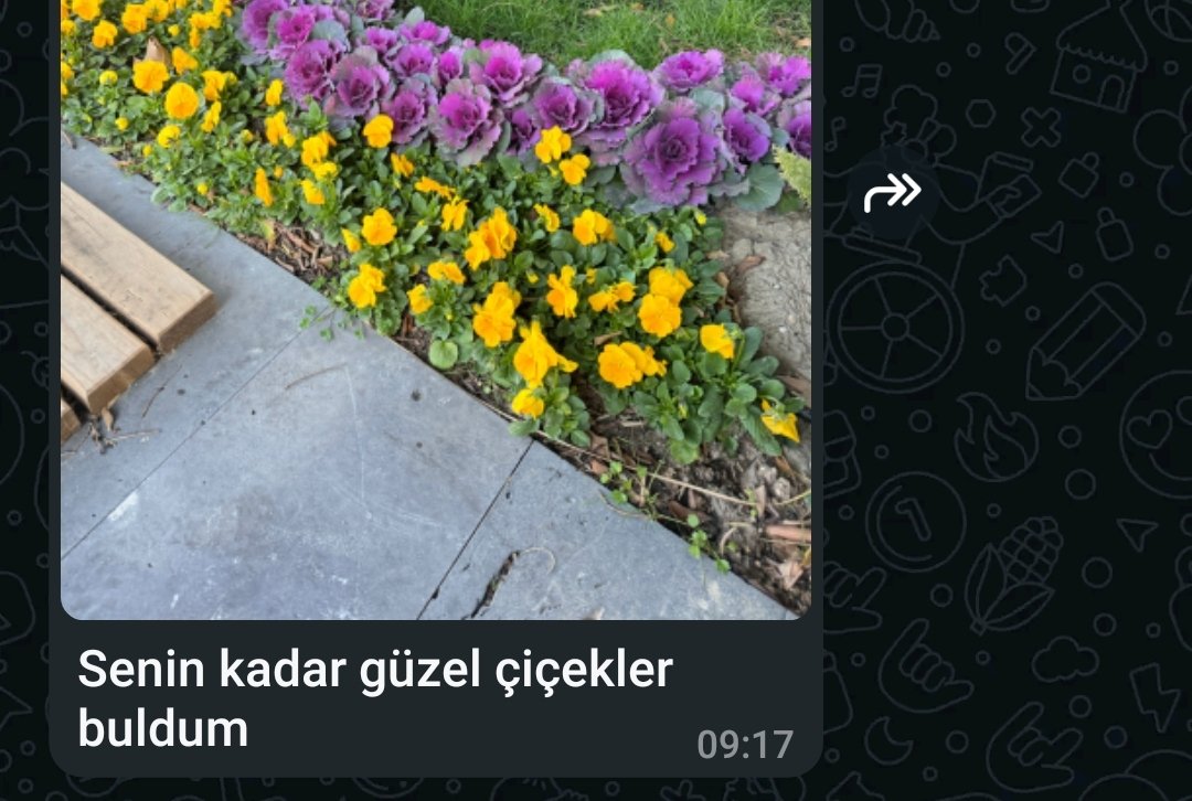 selam kizlar bugune boyle basladik🥹