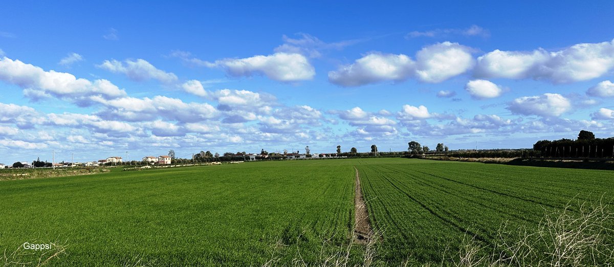 GappsiGroup's tweet image. Outdoor Backyard Oven for Making Bread and Food Hobby

TO LEARN MORE  CLICK LINK BELOW

gappsi.com/2025/02/06/out…
SCHEDULE A MEETING WITH GAPPSI TODAY 
Click the link below 
app.acuityscheduling.com/schedule.php?o… 

#OutdoorCooking, #BackyardOven, #WoodFiredOven, #GasFiredOven, #PizzaOven,