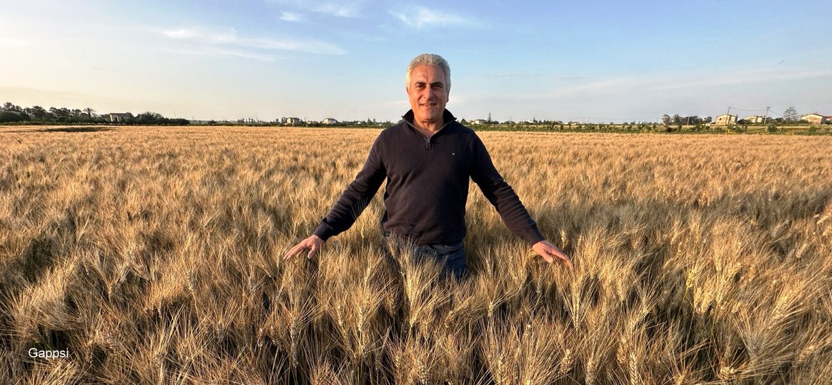 GappsiGroup's tweet image. Outdoor Backyard Oven for Making Bread and Food Hobby

TO LEARN MORE  CLICK LINK BELOW

gappsi.com/2025/02/06/out…
SCHEDULE A MEETING WITH GAPPSI TODAY 
Click the link below 
app.acuityscheduling.com/schedule.php?o… 

#OutdoorCooking, #BackyardOven, #WoodFiredOven, #GasFiredOven, #PizzaOven,