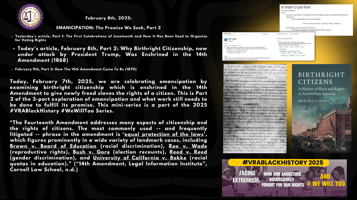 Protecting Americas Vote: Our March to Vote tweet media