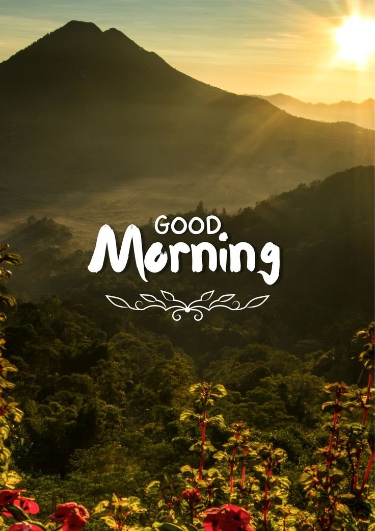 Good Morning - Bom dia, galera! Aproveitem o sábado! ☀️

Good evening, may the stars guide your dreams. 🌙