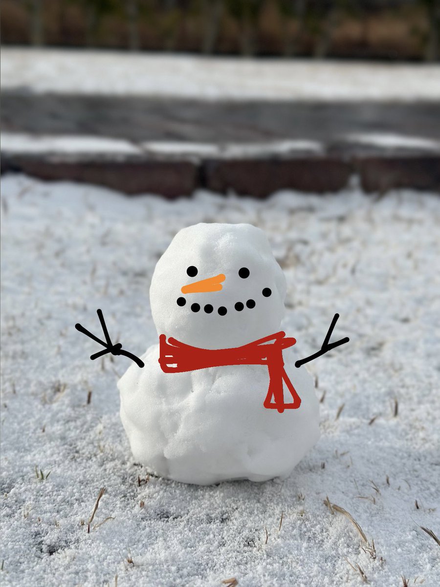 coco_charm's tweet photo. 雪の降ることがほとんどないラスク地方、朝起きたら庭がうっすら白くなってました。ビックリです。
雪がまだ舞っていて娘も私もはしゃいじゃいました😆
頑張って散歩に行ってきました。

ずっと見られなかったし、久しぶりの投稿となりました。ラスクは元気いっぱいです😊
#マルキー　#犬のいる暮らし https://t.co/Hb2S5HleyE
