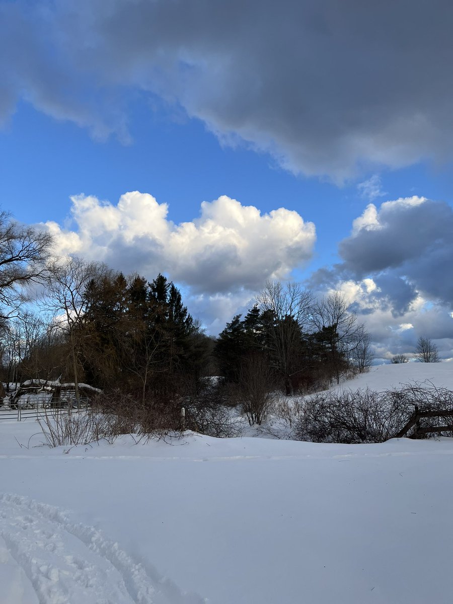 TimMoshier's tweet image. Between the storms